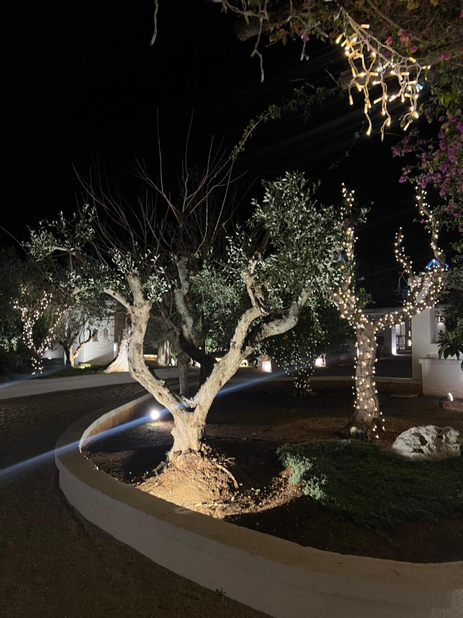 Masseriola Antiche Fogge By Apulia Hospitality ファザーノ エクステリア 写真